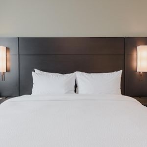 King Studio Sofa Bed